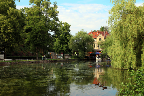 blick auf den prinzenteich eisenach