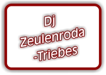 dj-in-zeulenroda-triebes